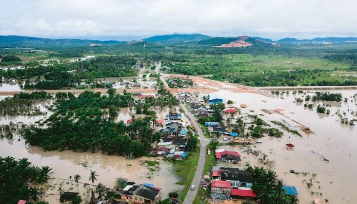 Due to heavy rains and floods, over 63,520 hectares of farmland in 17 provinces of Thailand have been affected.